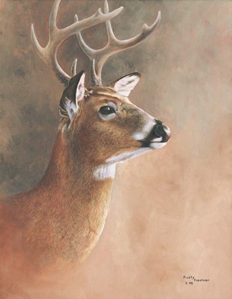 Framed Deer Close-Up Print