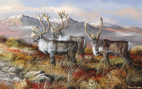 Framed Cold Alaskan Ridge Print