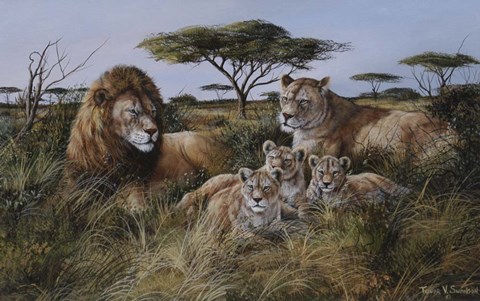 Framed Lion Family Print