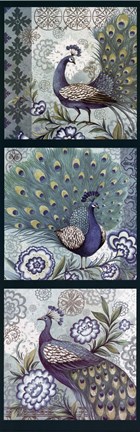 Framed Peacock Blues Print