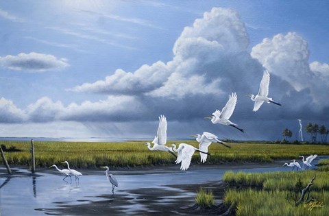 Framed Summer Storm Egrets Print