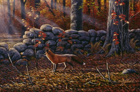 Framed Autumn Reds - Red Fox Print