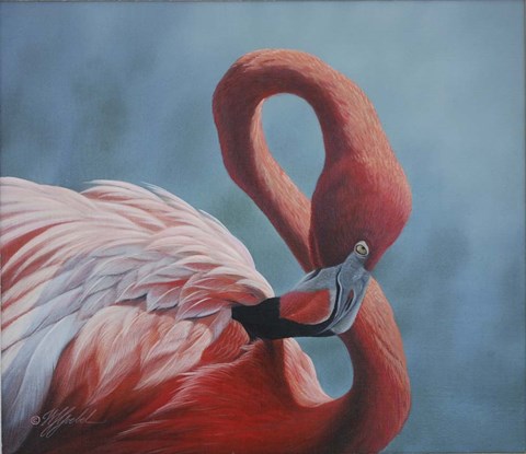 Framed Figure 8 - Flamingo Print