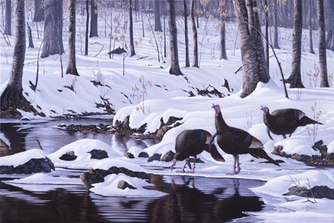 Framed Hardwood Creek - Wild Turkeys Print