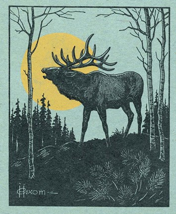 Framed Moose 3 Print