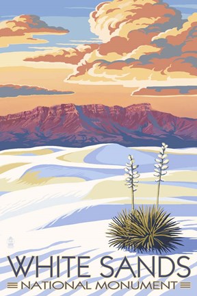 Framed White Sands Print