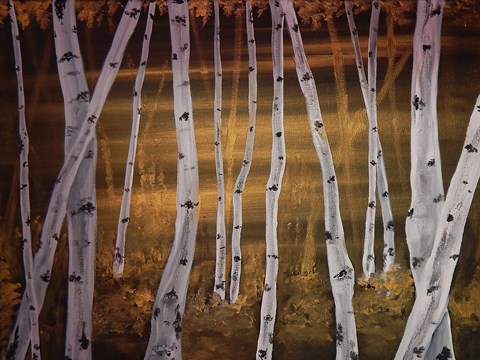 Framed Birch trees Print