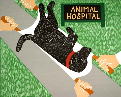 Framed Animal Hospital Print