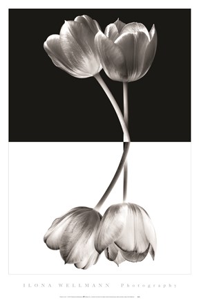 Framed Black And White Print