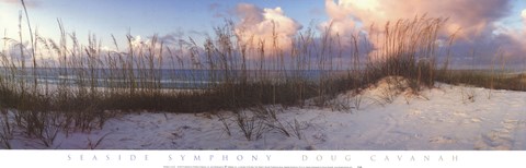 Framed Seaside Symphony Print