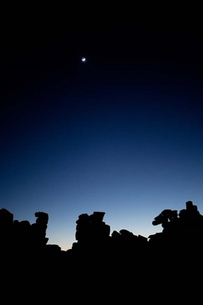 Framed Quiver Tree Forest at Night, Namibia Print