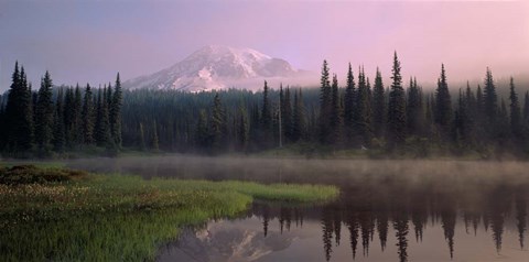 Framed Mist over Mount Rainier National Park, Washington Print