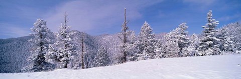 Framed Snow Covered Landscape, Colorado Print