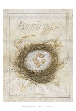Framed Nest - Bunting Print