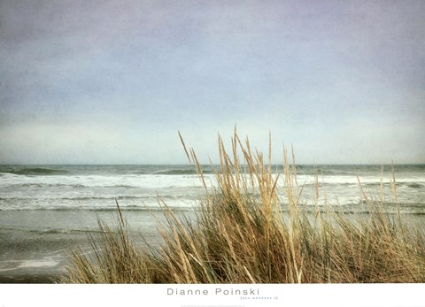 Framed Sea Grasses 2 Print