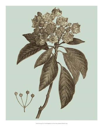 Framed Flowering Trees V Print