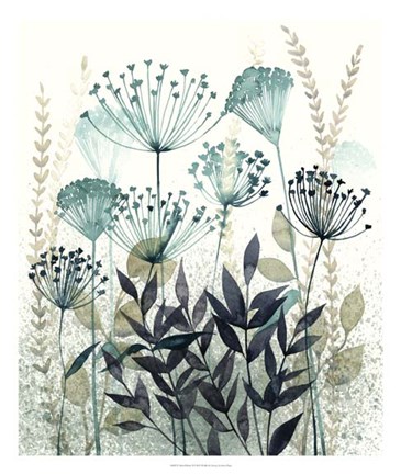Framed Allayed Floral II Print