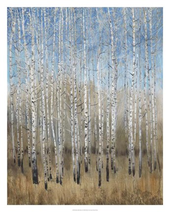 Framed Dusty Blue Birches II Print