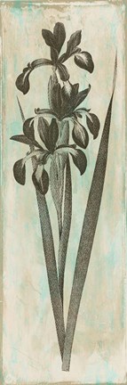 Framed Earthy Floral Print