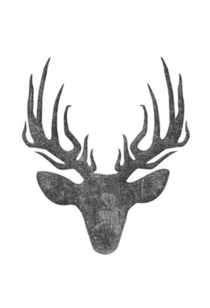 Framed Black And White Aged Deer Mate Print