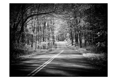 Framed Country Road 1 Print