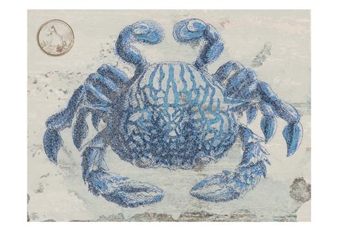 Framed Mysterious Crustacean Print