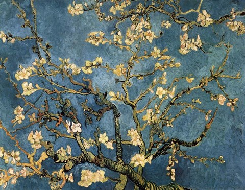 Framed Blossoming Almond Tree, Saint-Remy, c.1890 Print