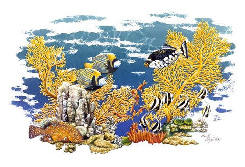 Framed Barrier Reef Print