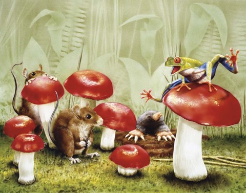 Framed Mushroom Meeting Print