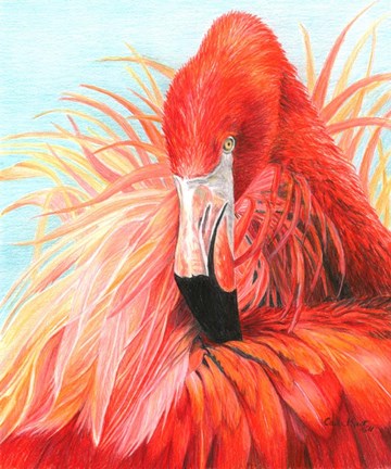 Framed Red Flamingo Print