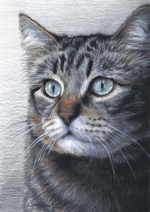 Framed Cat Portrait Print