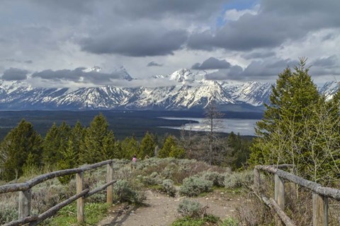 Framed Jackson Lake Overlook G Print