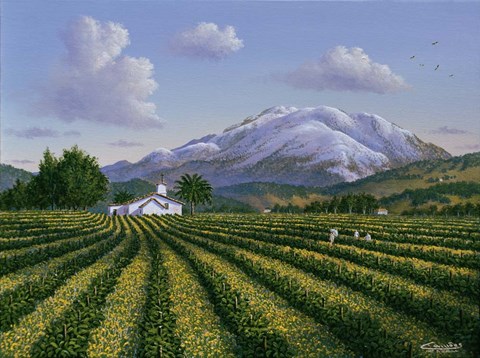 Framed Mount Sta Helena - Napa Valley Print