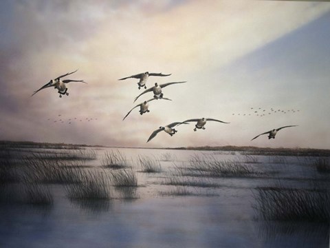 Framed Geese Print