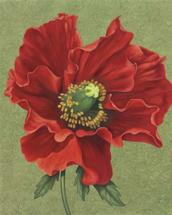 Framed Red Poppy 2 Print