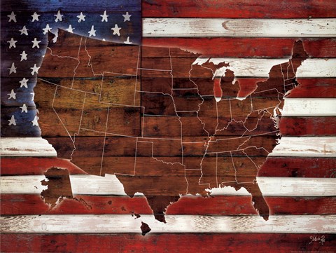 Framed American Flag USA Map Print