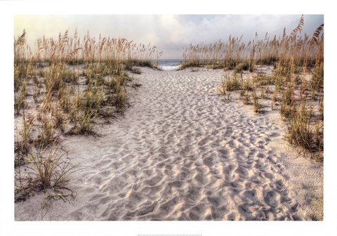 Framed Path To The Beach Print