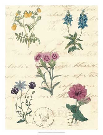 Framed Botanical Journal III Print