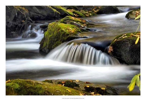 Framed Close to Nature Print