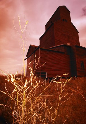 Framed Farmhouse Against a Red Sky Print