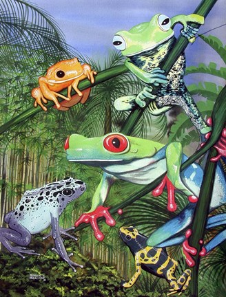 Framed Tree Frogs Print