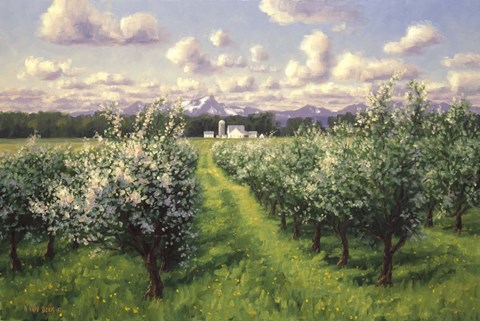 Framed Stoney Ridge Orchard Print