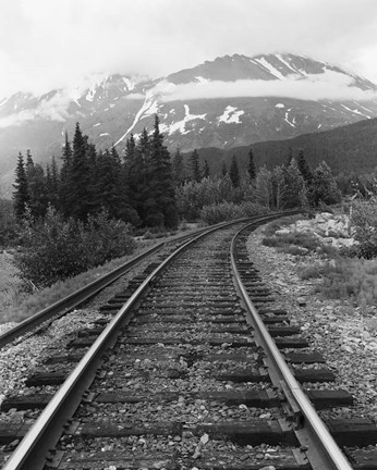 Framed Railroad Tracks, Alaska 85 Print