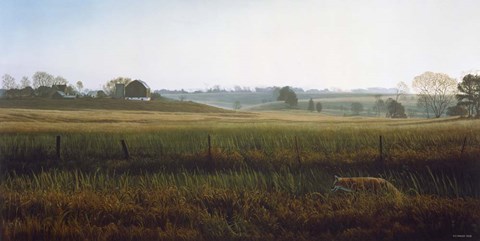 Framed Autumn Fields - Red Fox Print
