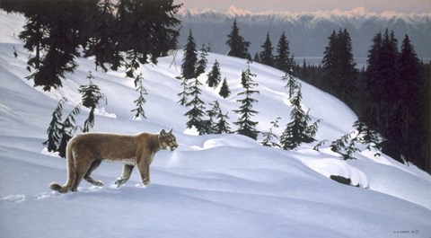 Framed Cougar In Snow Print