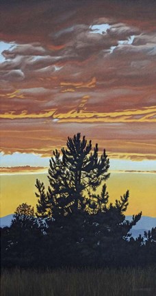Framed Evening Pine Print