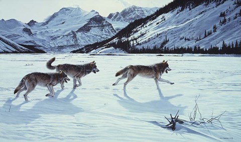 Framed On The Run - Wolf Pack Print