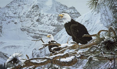 Framed Eagles In The Pine Print