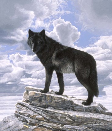 Framed Black Wolf On Skyline Print