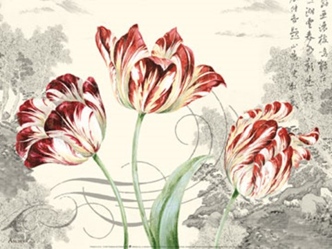 Framed Imperial Tulips Print